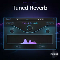 Tuned Plugins Tuned Reverb v1.0.32 REGGED-BUBBiX混响-康灵博客